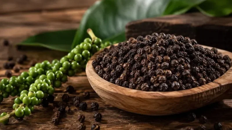 Bao Nhiêu Kg Tiêu Tươi Được 1kg Tiêu Khô? Tỷ Lệ và Cách Tính 2026